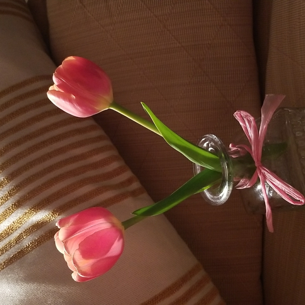 Meet your Posher, Susan